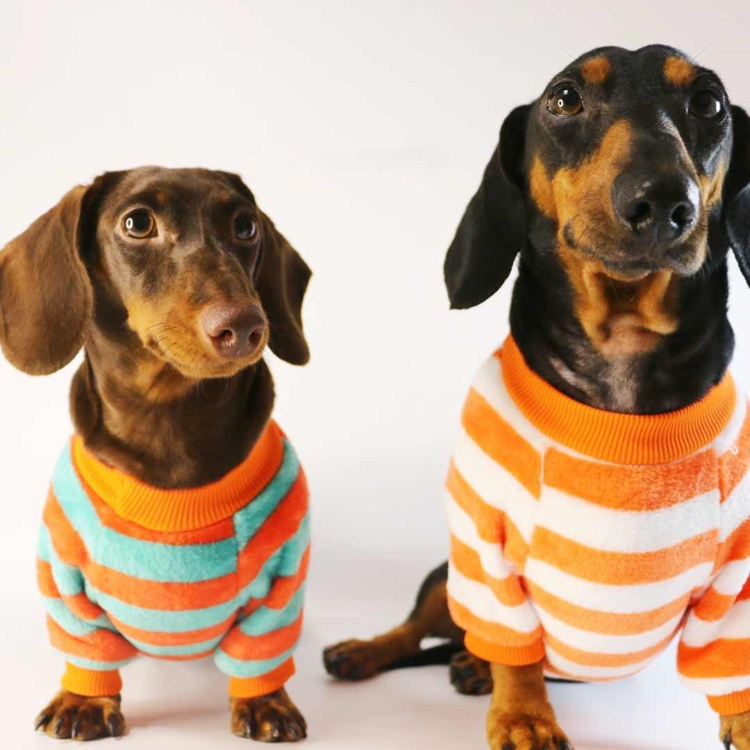 Casual Pet Sweatshirt For Everyday Wear